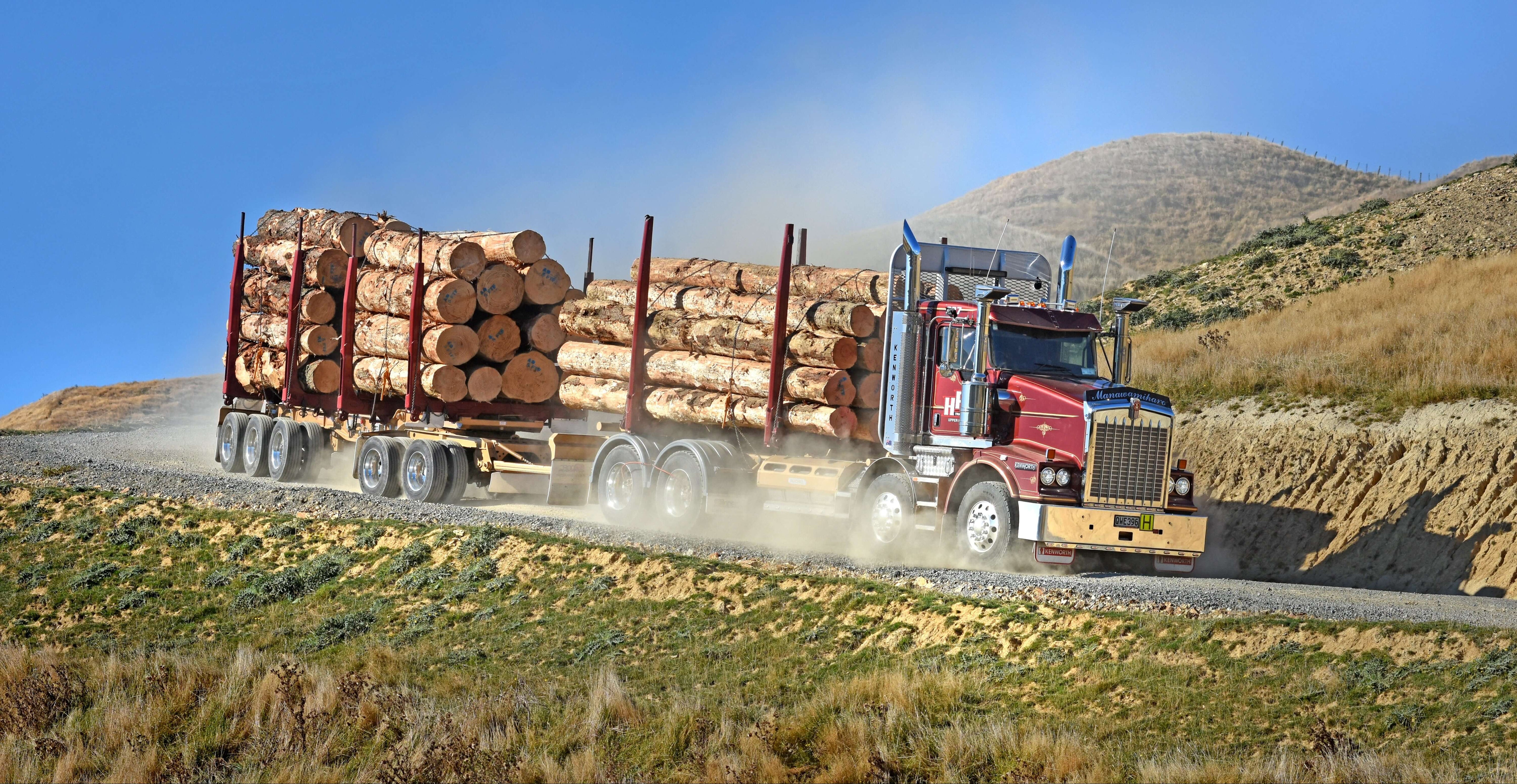 A large red semi-truck loaded with cut logs drives on a dusty gravel road through a hilly, grassy landscape under a clear blue sky.