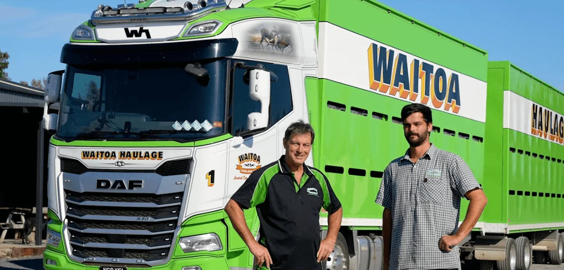 Waitoa Haulage New Generation DAF celebrating 50 years of excellence in livestock transport.