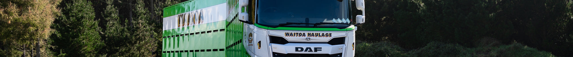 DAF XF truck working in a New Zealand forest setting