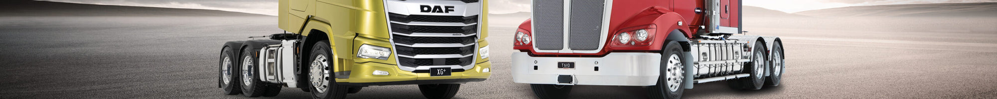 Kenworth and DAF trucks beneath a dramatic New Zealand sky