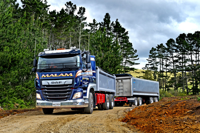 A large blue and silver DAF truck with MALAM on the front hauls a double trailer on a dirt road, surrounded by tall green pine trees and a cloudy sky.