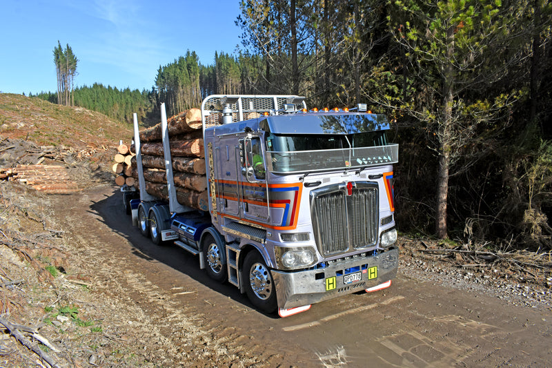 A large silver and blue logging truck carrying cut logs drives on a dirt road through a forested area, with stacks of logs and trees visible in the background.