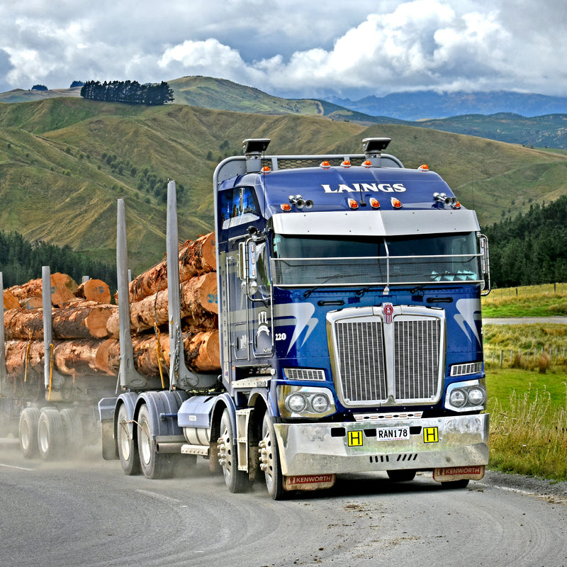 A large blue logging truck loaded with freshly cut logs drives on a winding rural road, surrounded by green hills and cloudy skies.