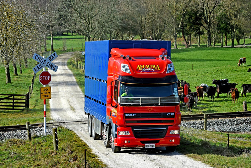 A red Ahaura Express truck drives on a rural gravel road, approaching a railway crossing with a stop sign. Green fields and grazing cows are visible in the background.