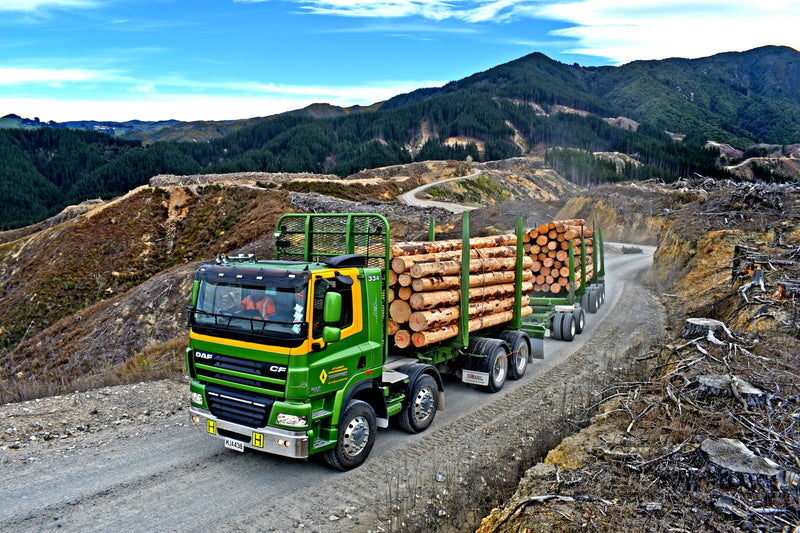 A green logging truck loaded with large cut logs drives along a winding dirt road through a mountainous, partially deforested landscape with hills and forest in the background.