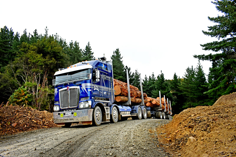 A large blue semi-truck carries a long load of logs on a gravel road through a forested area, with trees and dirt piles on either side under a cloudy sky.