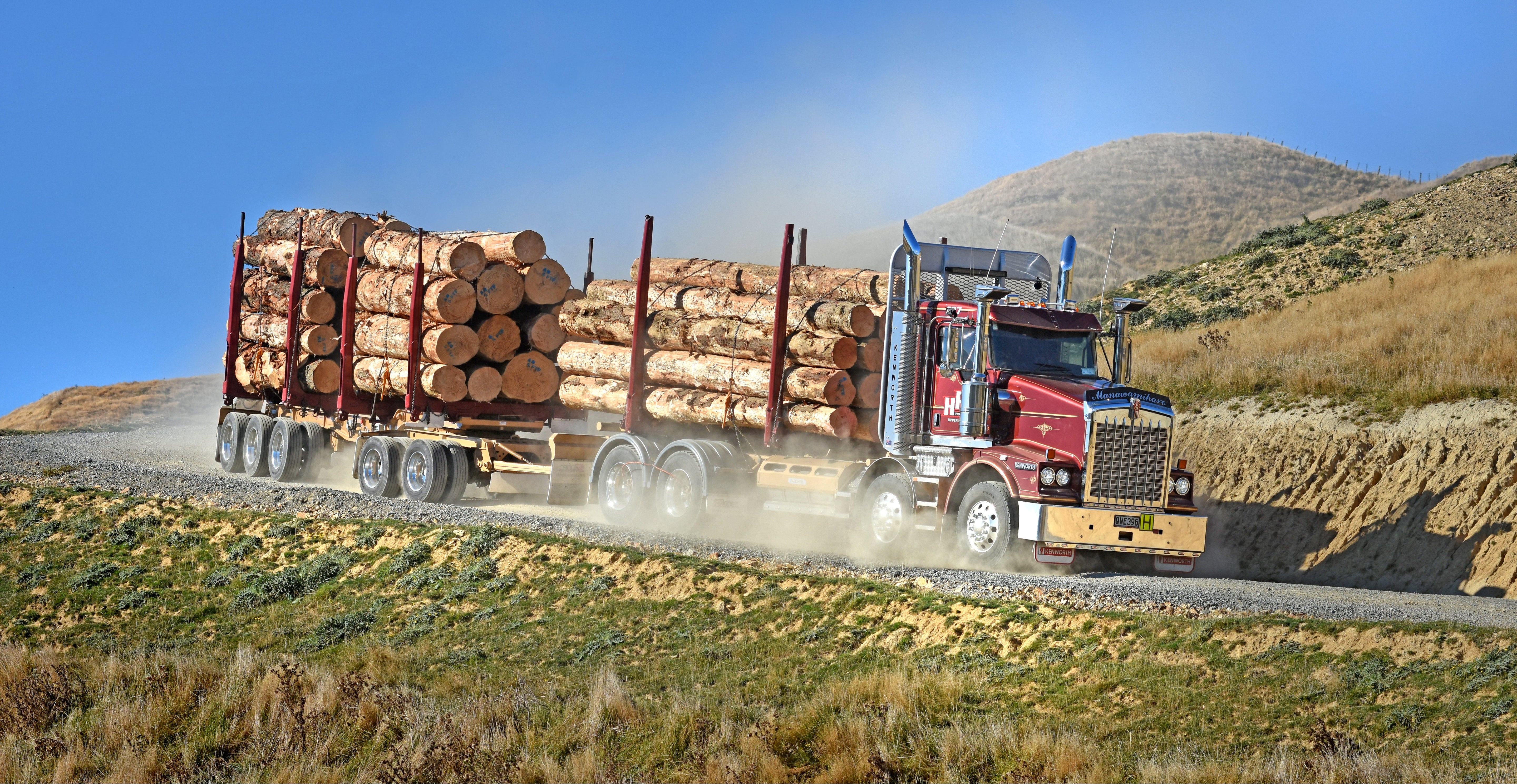 A large red semi-truck loaded with cut logs drives on a dusty gravel road through a hilly, grassy landscape under a clear blue sky.