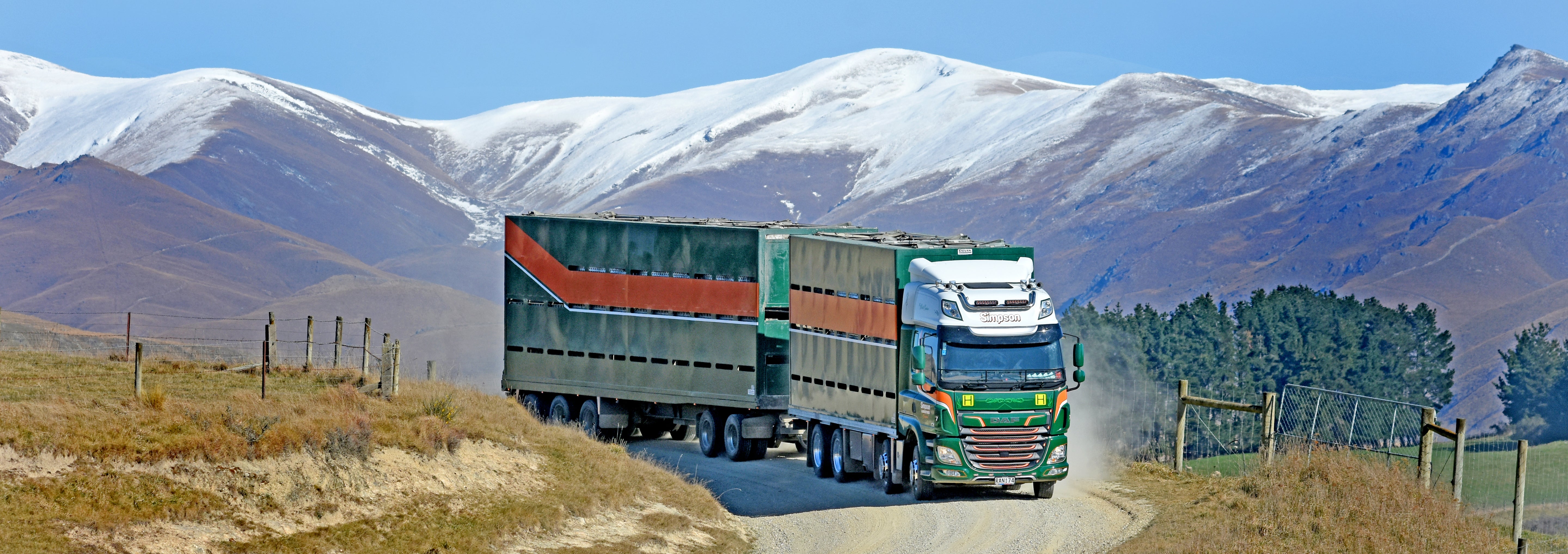 A large green and white livestock truck drives on a gravel road through a rural landscape, with snow-capped mountains and grassy hills in the background.