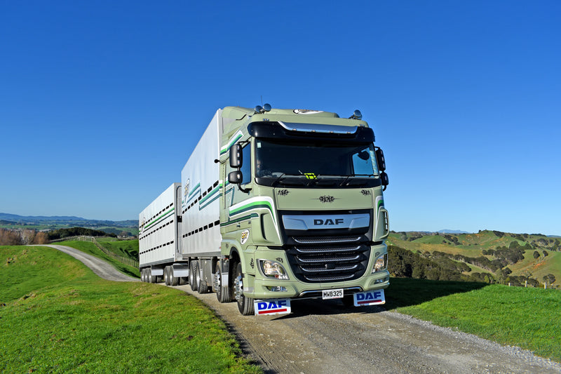A large green DAF livestock truck with two trailers drives on a rural gravel road surrounded by grassy hills under a clear blue sky.