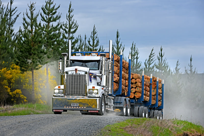 A large white logging truck drives on a gravel road surrounded by pine trees, carrying a full load of cut logs on its trailer, with dust rising from its tires.
