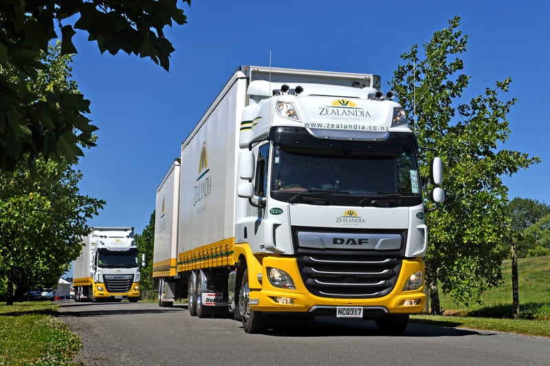 A fleet of Zealandia-branded DAF trucks drives down a tree-lined road under a clear blue sky, with green grass and trees on either side.
