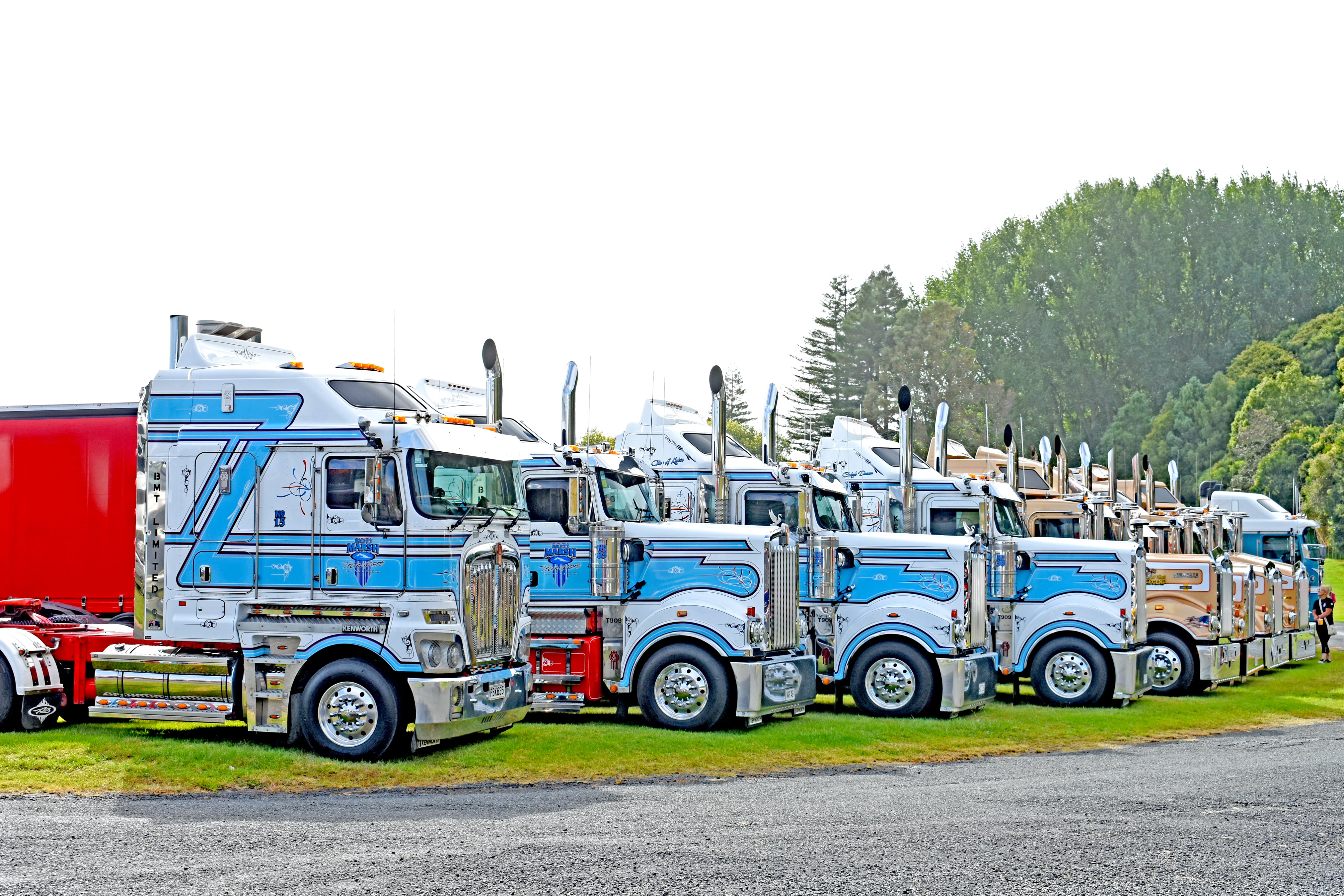 A row of colorful, shiny semi-trucks parked side by side on grass, with trees and a clear sky in the background.
