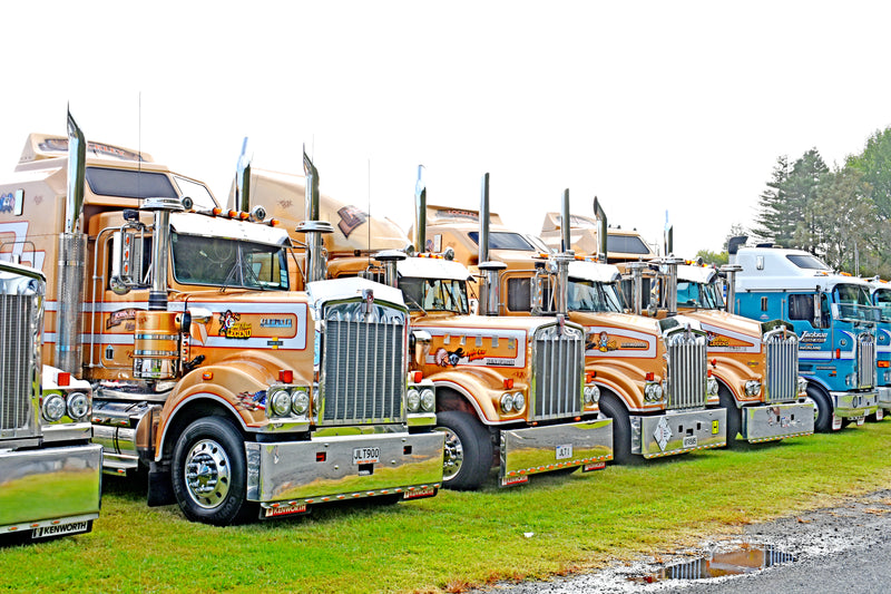 A row of brightly painted, orange Kenworth semi trucks parked on grass beside a road, with trees and more trucks in the background under an overcast sky.