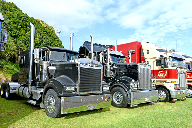 A row of large, polished semi trucks in various colors, including black and red, parked on green grass under a partly cloudy sky, with trees in the background.