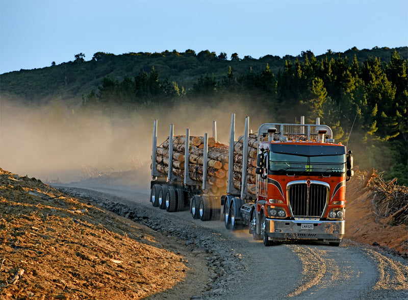 A large red logging truck loaded with cut timber drives along a dusty dirt road through a forested area, with hills and trees in the background.