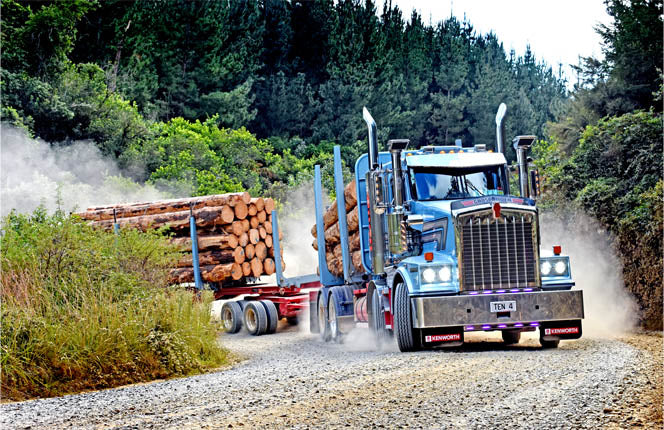 A large logging truck loaded with cut logs drives on a dusty gravel road surrounded by dense green forest and trees.
