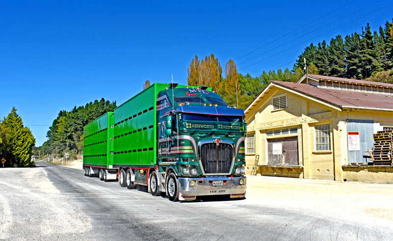 A large green livestock transport truck drives on a rural road past a yellow building with trees and blue sky in the background.