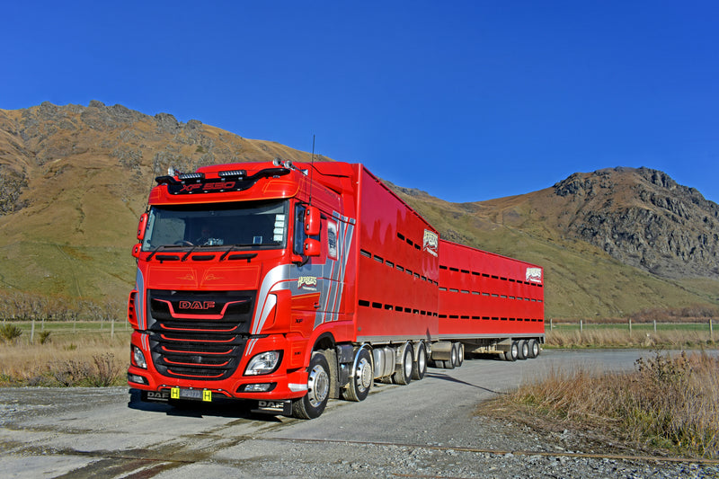 A bright red DAF semi-truck with a double trailer is parked on a rural road with mountains and clear blue sky in the background. Dry grass and rocky terrain border the road.