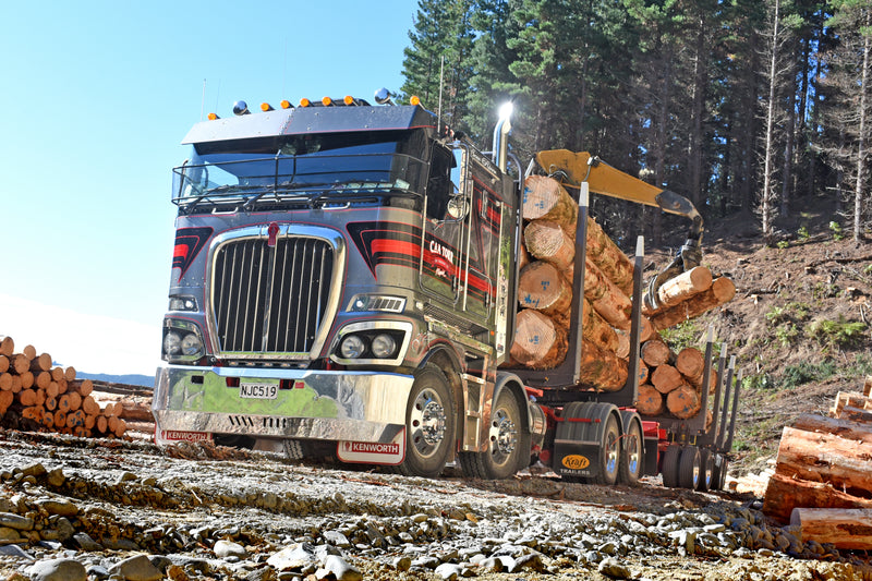A large logging truck loaded with logs is parked on a dirt road near a forest, while a mechanical loader places more logs onto the trailer. Tall pine trees are visible in the background under a blue sky.