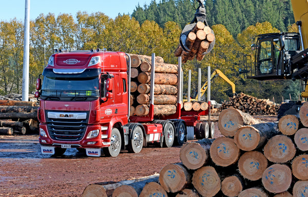 A red DAF logging truck loaded with logs is parked at a lumber yard as a crane lifts logs onto its trailer. Stacks of cut logs and trees are visible in the background under a clear sky.