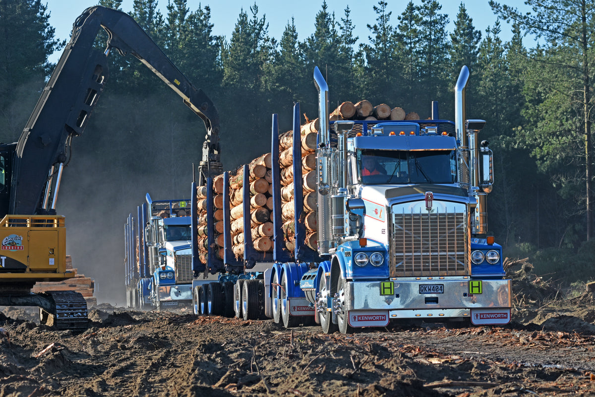 Two large blue logging trucks loaded with cut logs drive through a forest clearing, while an excavator loads logs onto one of the trucks. Pine trees are visible in the background.