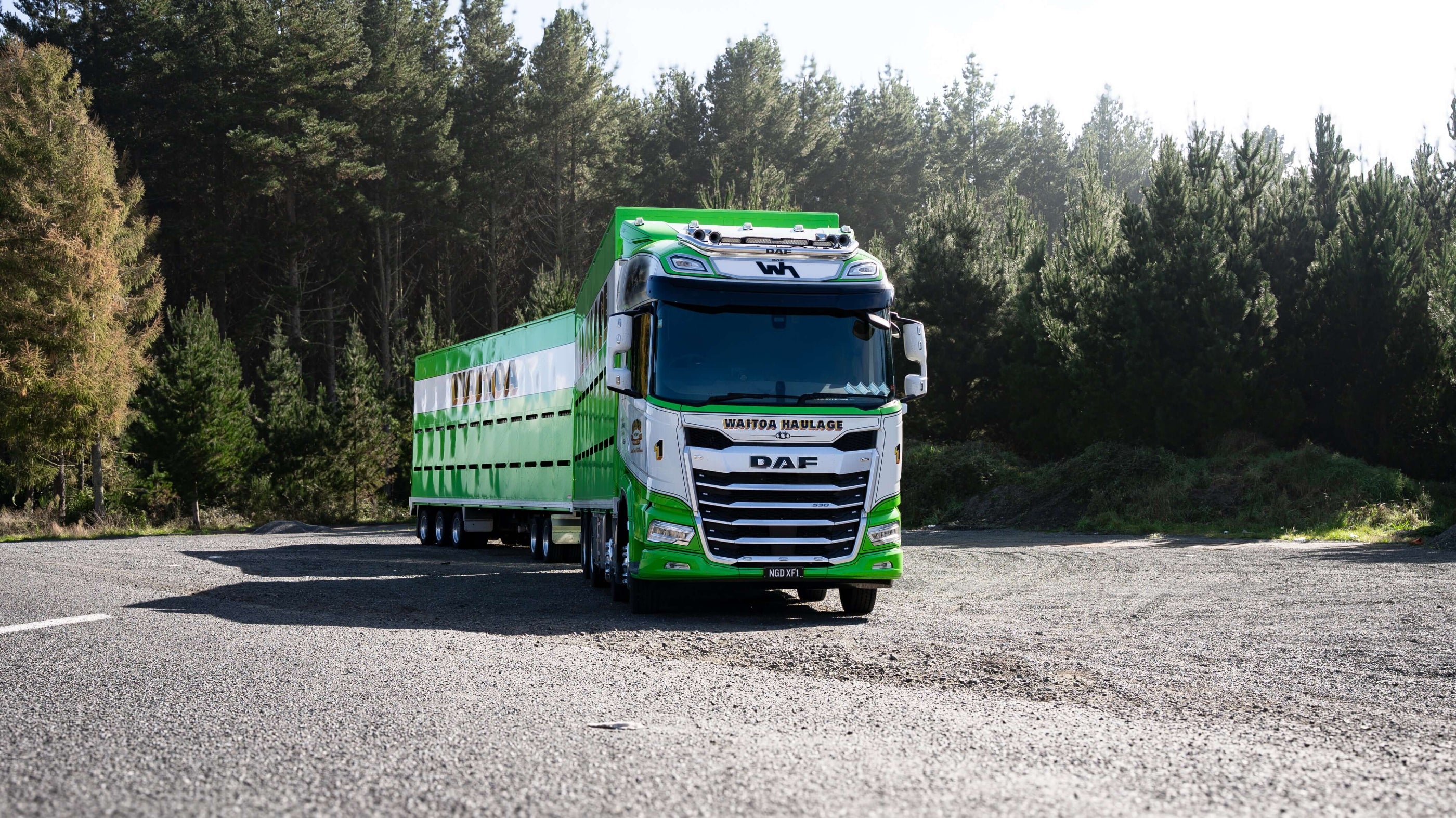 A large green DAF truck with a trailer is parked on a gravel road surrounded by dense, tall trees under a clear sky.
